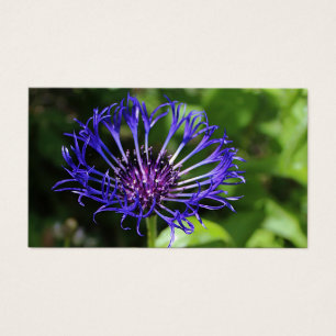 Beleza Azul