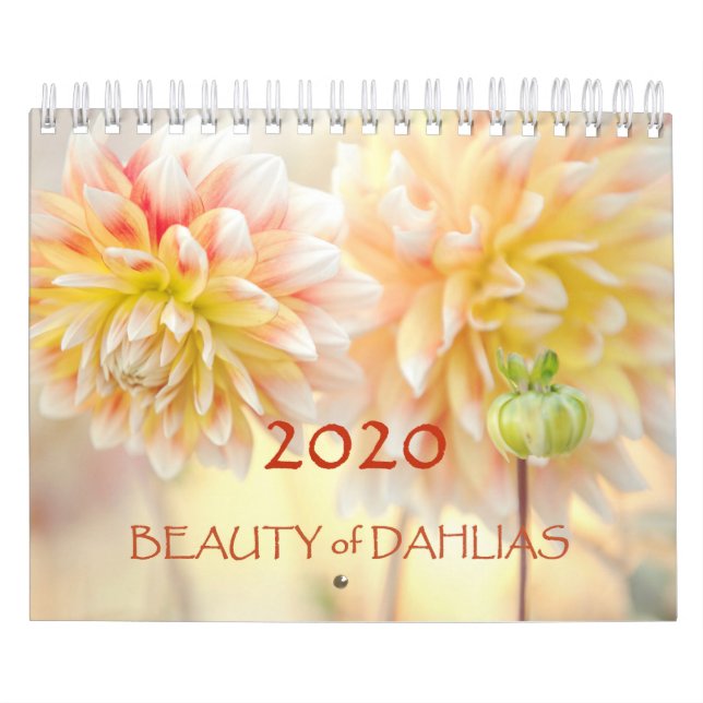 Beleza das Flores Dahlias 2020 Calendário (Capa)