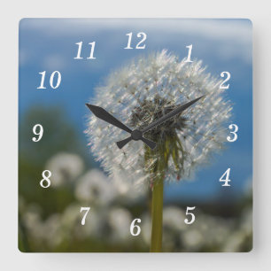 Beleza De Um Relógio De Parede Dandelion