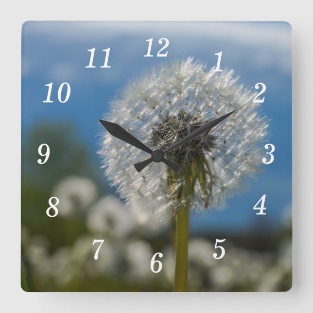 Beleza De Um Relógio De Parede Dandelion (Frente)