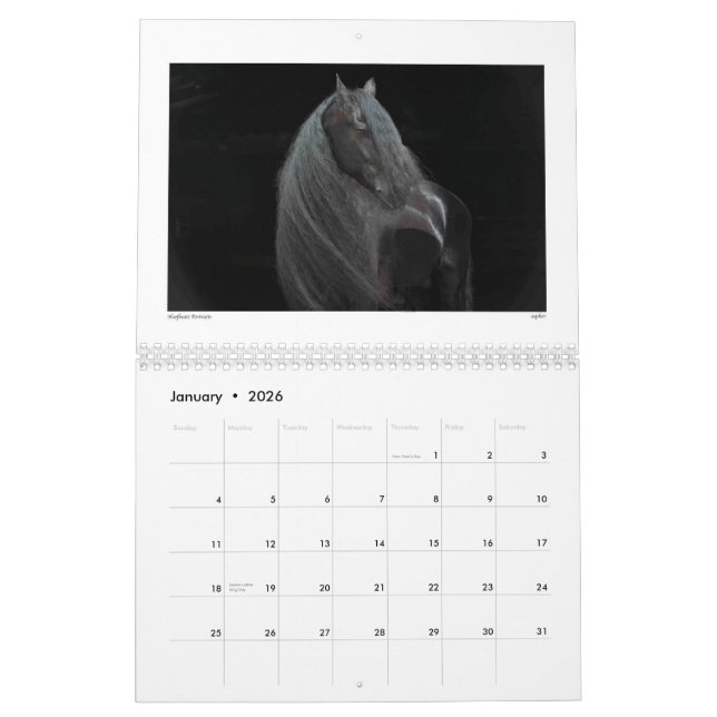 Beleza do calendário 2015 do cavalo (Jan 2026)