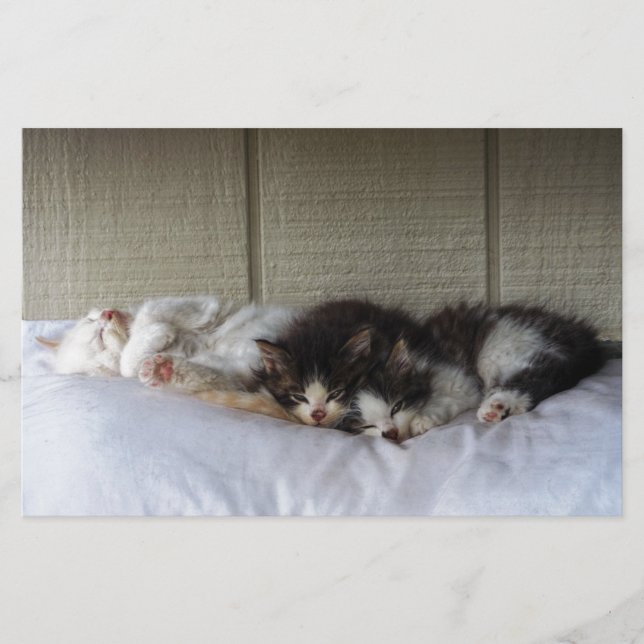 Beleza Dormindo (Frente)