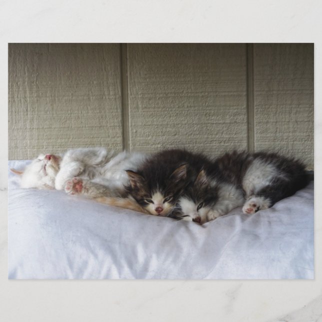 Beleza Dormindo (Frente)