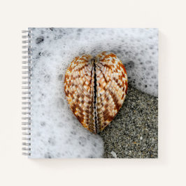 Beleza e inspiração