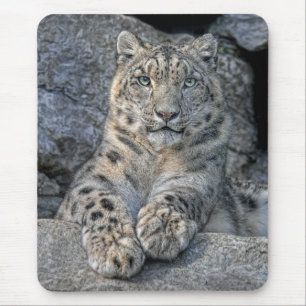 Beleza Mousepad do leopardo de neve