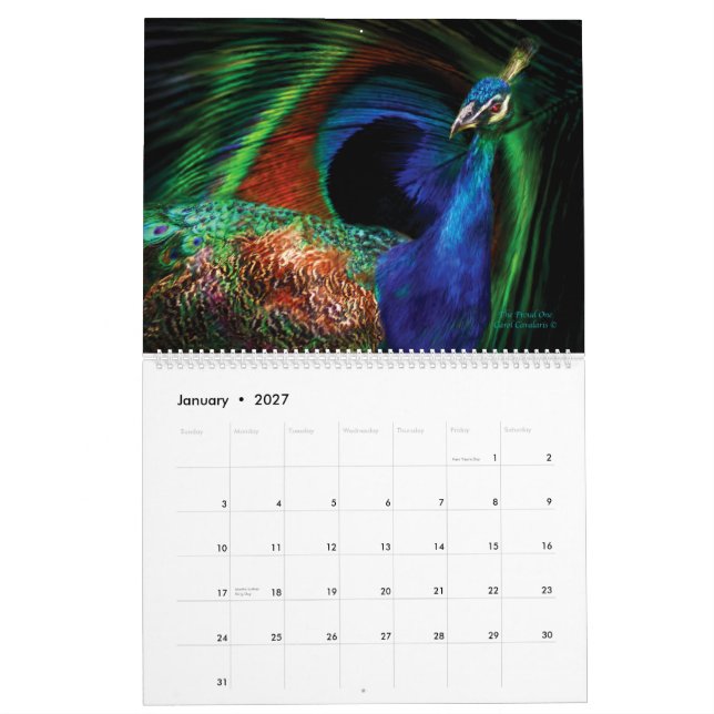 Beleza Na Natureza - Calendário De Coleção De Aves (Jan 2027)