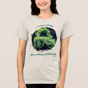 Beleza Na Natureza Citas Inspiradoras De Vinhas