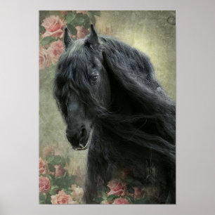 Beleza Negra Cavalo Frísia - Poster