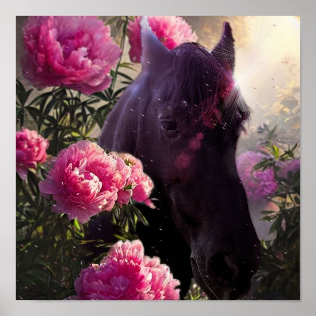 Beleza Negra Cavalo Frísia - Poster (Frente)