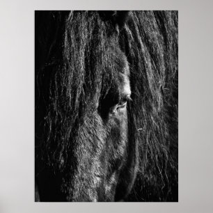 Beleza Negra - Poster