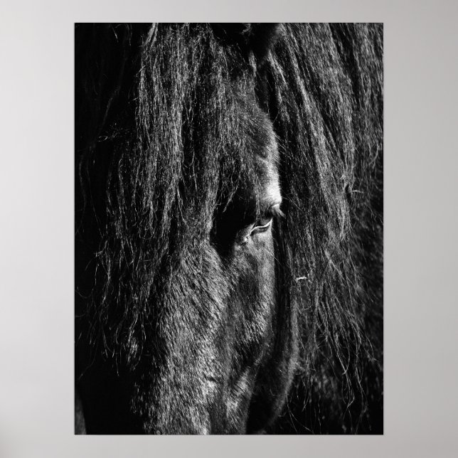 Beleza Negra - Poster (Frente)