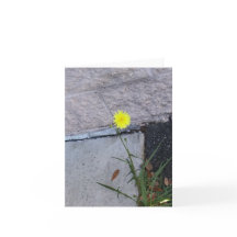 Beleza Teórica 2 num cartão de nota