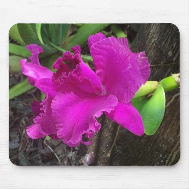 Beleza Untamed Mousepad (Frente)