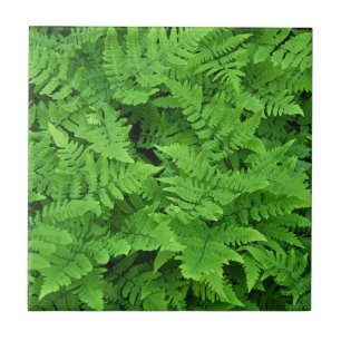 Beleza verde