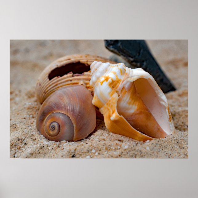 Belezas de praia quebradas #2 Poster (Frente)