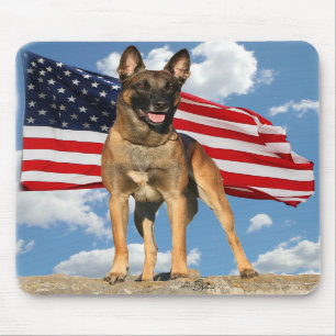 Belga Malinois com mousepad da bandeira