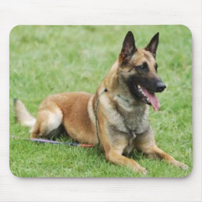 Belga Malinois Mousepad (Frente)