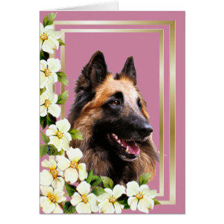 Belga Tervuren Dogwood e cartão de Vazio com moldu