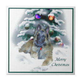 Belga Tervuren Natal