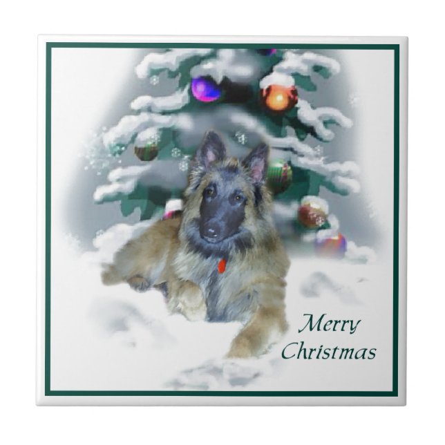 Belga Tervuren Natal (Frente)