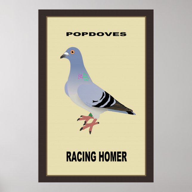 Belgian Racing Homer Poster (Frente)
