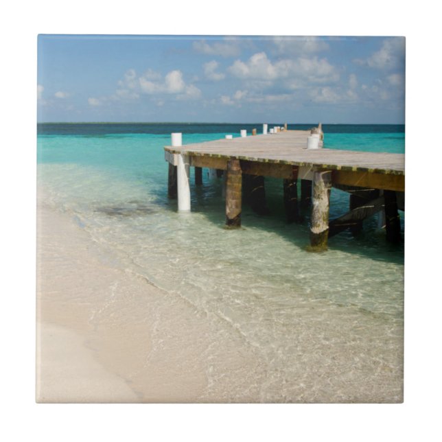 Belize, Mar do Caribe, Goff Caye. Uma Pequena Ilha (Frente)