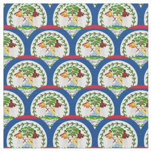 Belize Sinalizador e Belize Tecido de tendências/