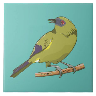 Bellbird Korimako NZ