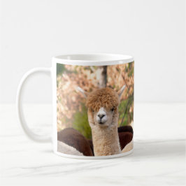 Belle da caneca da alpaca
