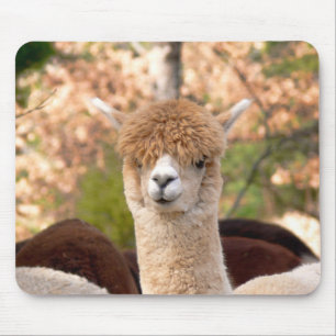 Belle de Mousepad da alpaca