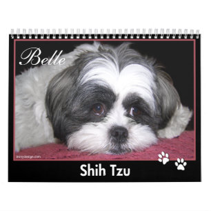 Belle o calendário de Shih Tzu
