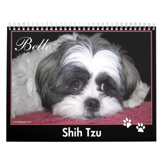 Belle o calendário de Shih Tzu (Capa)