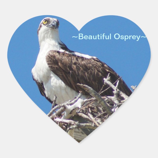Belo adesivo de coração de Osprey Hawk (Frente)