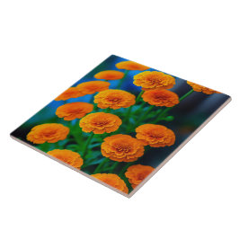 Belo Amarelo Marigold Flores
