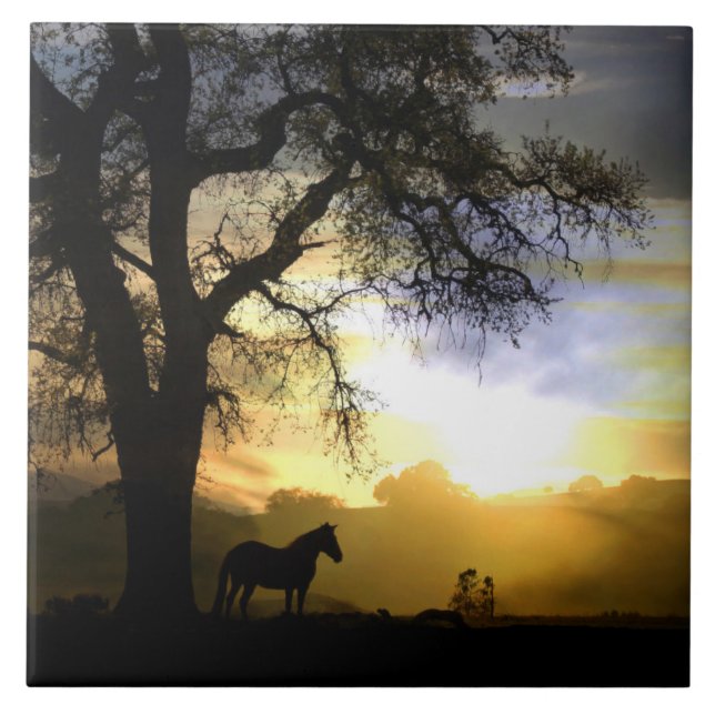 Belo Azulejo de Arte de Carvalho e Árvore de Carva (Frente)