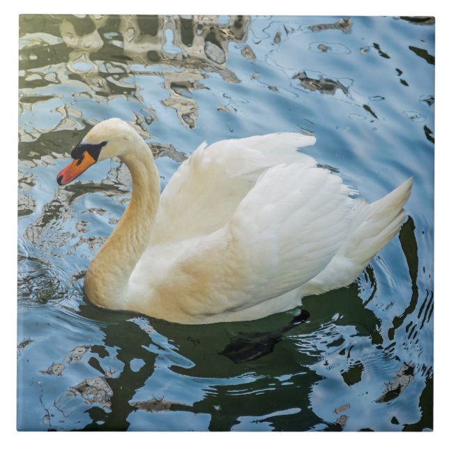 Belo azulejo de cerâmica de vista branca (Frente)