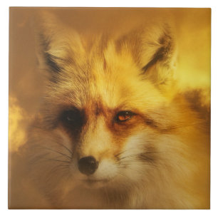 Belo Azulejo Nativo Americano de Arte Fox