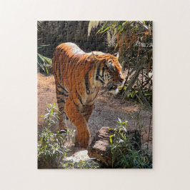 Belo Bengala Tiger Quebra-cabeça