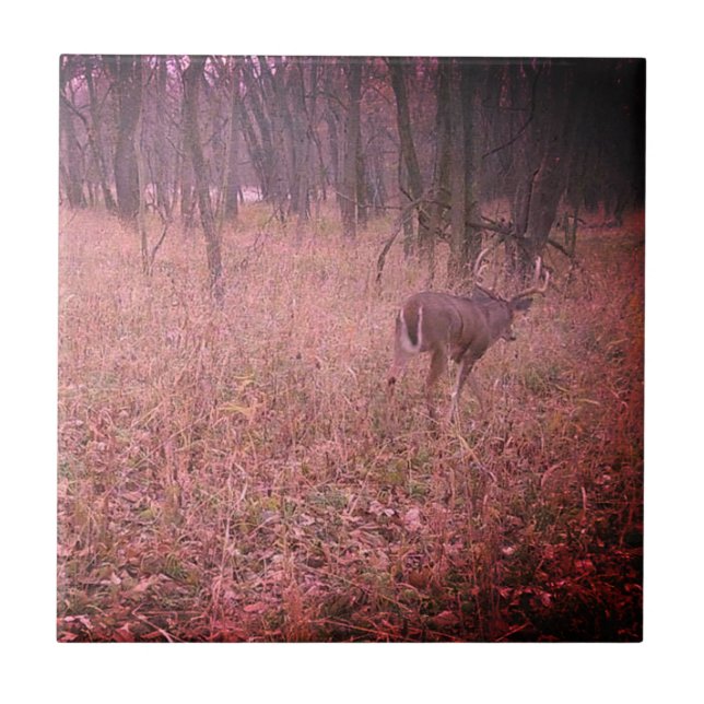 Belo Buck Avançado (Frente)