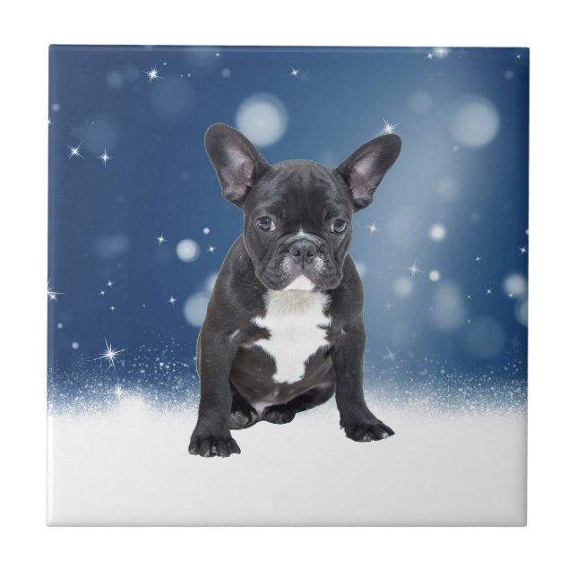 Belo Buldogue Francês Estrelas de Neve Azul Natal (Frente)