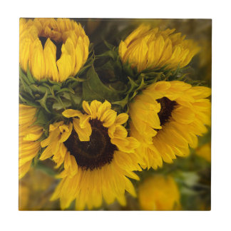 Belo Buquê dos Sunflower Dourados