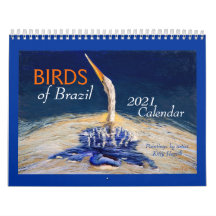Belo Calendário de 2021 "BIRDS of Brazil"