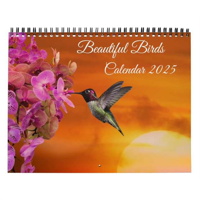 Belo Calendário de Aves (Capa)
