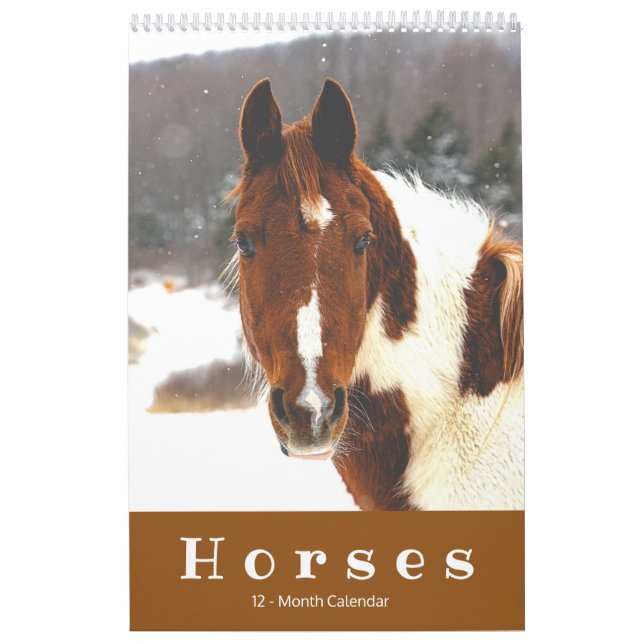 Belo Calendário de Cavalos de 12 Meses (Capa)