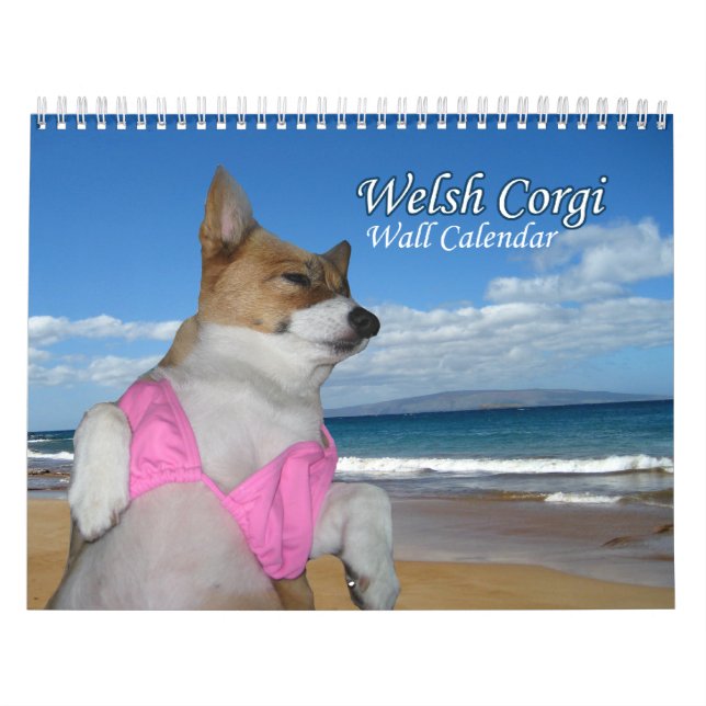 Belo Calendário Welsh Corgi (Capa)