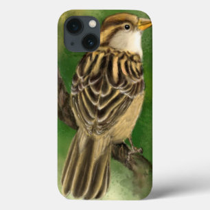 Belo capas de iphone