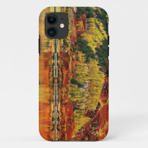 Belo capas de iphone de cenário