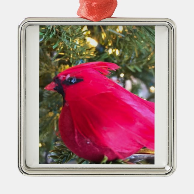 ***BELO CARDINAL*** ORNAMENTO DE AMOR DE NATAL (Frente)