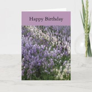 Belo Cartão de Aniversário Feliz Lavanda