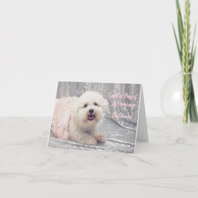 Belo Cartão de Natal Bichon Frise Ballerina (Frente)